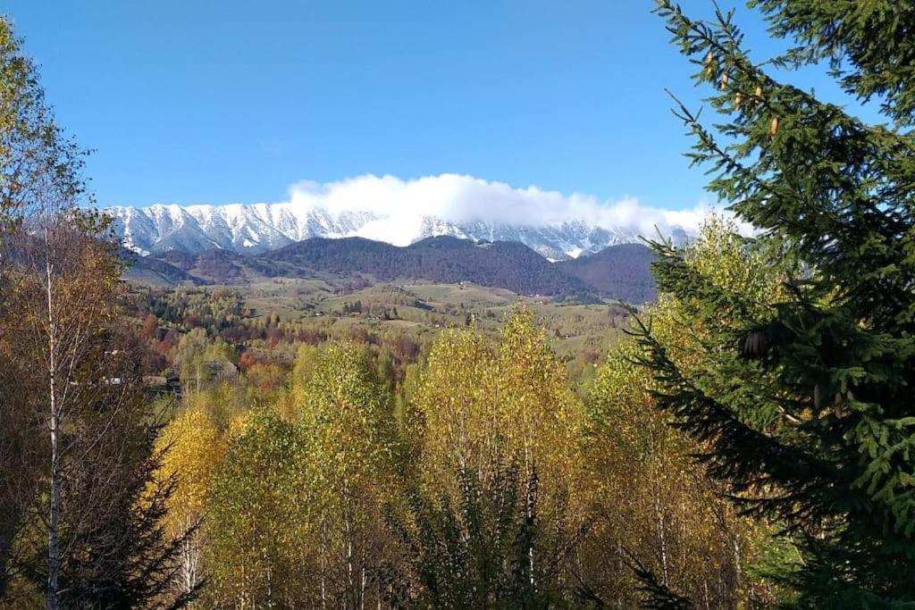Vila Serar Moieciu de Jos Exteriér fotografie