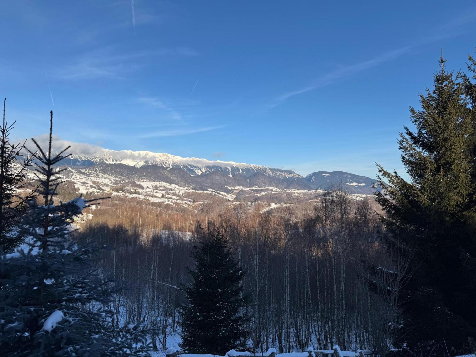 Vila Serar Moieciu de Jos Exteriér fotografie